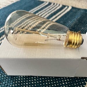 Edison Lightbulbs